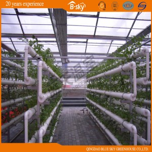 Glass Multi-Span Greenhouse with Integration of Water and Fertilizer