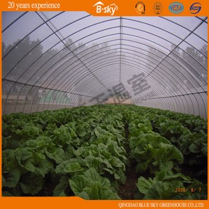 China Factory Price Tunnel Plastic Film Green House