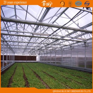 Glass Multi-Span Greenhouse with Hot Galvanized Steel Frame