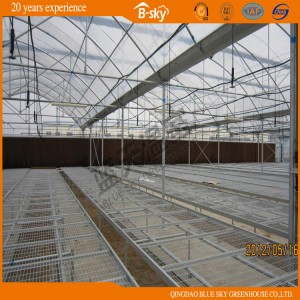 Low Cost Multi Span Film Greenhouse for Seeding