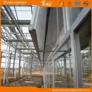 Long Term Use Dutch Technology Multi-Span Glass Green House