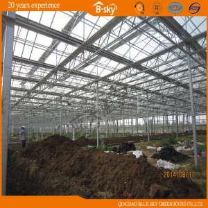 Dutch Technology Good Appearance Multi-Span Glass Green House