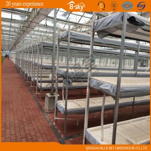 Agriculture Multi Span Film Greenhouse with Seeding Bed