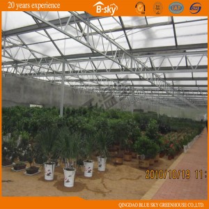 Glass Multi-Span Greenhouse with High Production