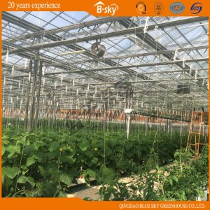 Auto environment Control Glass Greenhouse with Mobile Seeding Bed