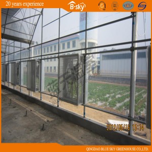 Modern Multi Span Film Green House for Vegetable Planting