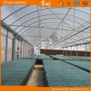 Multi-Span Film Green House for Planting Vegetables