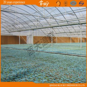 Low Cost Multi-Span Film Greenhouse with Hydroponics