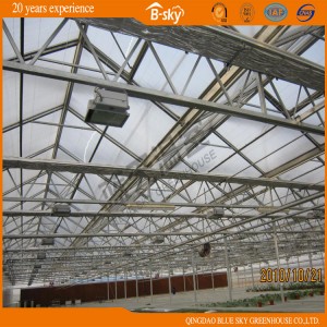 Long Term Usebeautiful Appearance Multi-Span Greenhouse