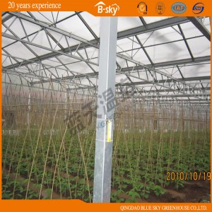Glass Multi-Span Greenhouse with Long Life Span