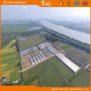 Multi Span Glass Greenhouse for Commercial Use