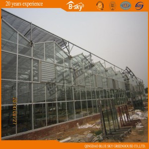 Good Appearance Dutch Technology Multi-Span Glass Green House