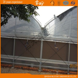 Multi-Span Film Greenhouse for Planting Vegetables