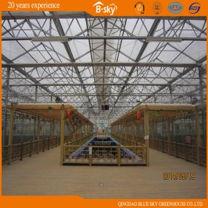 Beautiful Appearance High Quality Multi-Span Glass Greenhouse