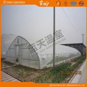 Arch Single-Span Film Covered Green House