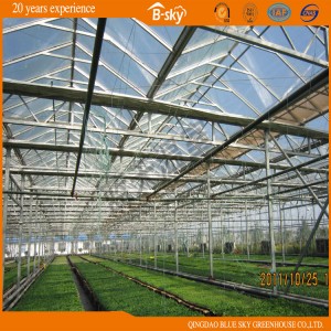 Venlo Type Glass Greenhouse with Mobile Seed Bed