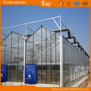 Beautiful Appearance Venlo Structure Greenhouse