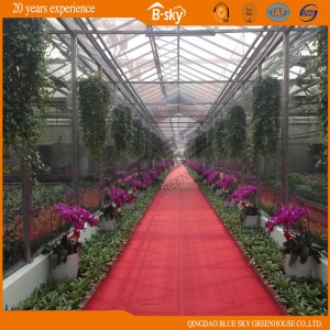 Venlo Type Glass Greenhouse with Hot Gal Steel