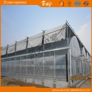 Multi-Span Film Greenhouse with Soilless Culture