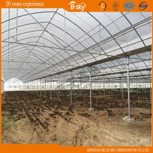 Agriculture Multi Span Film Greenhouse for Sale with Low Cost