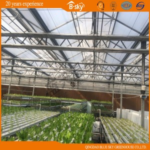 Auto environment Control Glass Greenhouse for Seeding