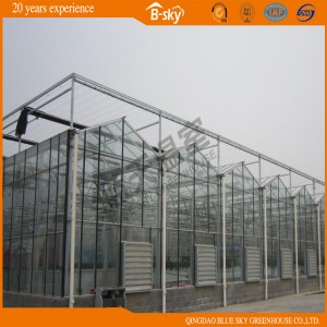Long Term Use Venlo Type Greenhouse China Supplier