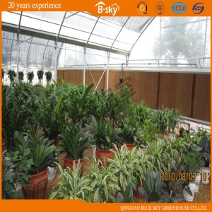 Fast Installation Multi-Span Film Green House