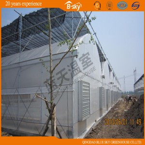High Cost Performance Plastic Film Greenhouse China Supplier