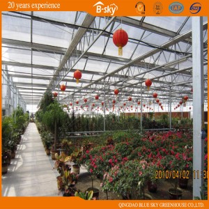 High Yield Beautiful Appearance Multi-Span Greenhouse