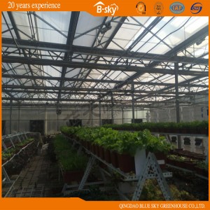 Netherlands Technology Auto environment Control Glass Greenhouse
