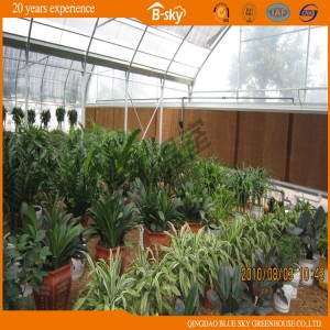 High Quality Multi-Span Plastic Film Greenhouse for Agribusiness