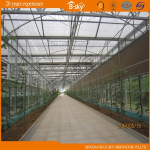 High Quality Beautiful Appearance Multi-Span Glass Greenhouse
