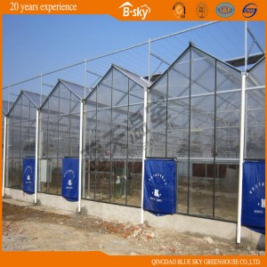 Beautiful Appearance Multi-Span Greenhouse China Supplier