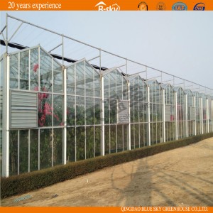 High Quality Multi-Span Glass Greenhouse China Supplier