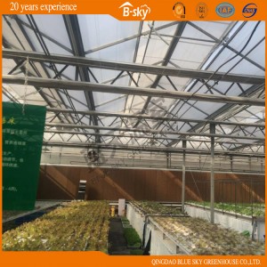 High Quality Auto environment Control Glass Greenhouse