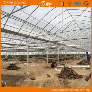 Em Plastic Film Greenhouse for Commercial Used