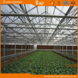 Glass Multi-Span Greenhouse with High Cost Performance