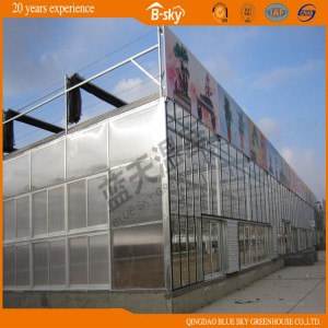 Beautiful Appearance Multi-Span Greenhouse with Low Cost