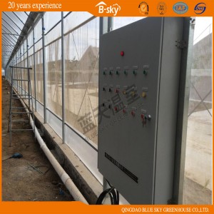 Multi Span Film Green House for Africa Agricultural Planting