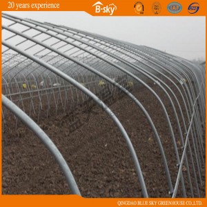 Hoop Greenhouse for Vegetable Planting China Supplier