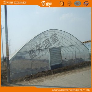 Hoop Greenhouse with Galvanized Steel Frame China Supplier