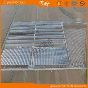 Low Cost Plastic Film Multi-Span Greenhouse