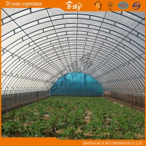 Simple Structure Hoop Type Film Greenhouse