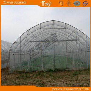 Hoop Type Film Greenhouse Built in Africa