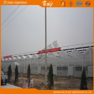 Sturdy and Durable Polycarbonate Board Greenhouse