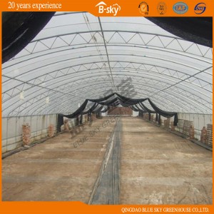 Hot Sale Film Greenhouse for Agricultural Planting