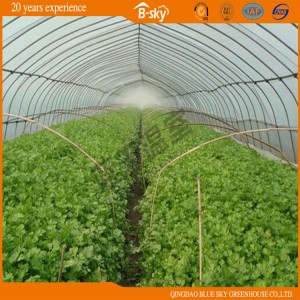 Widely Used Hoop Greenhouse for Vegetable Planting