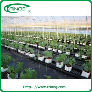 Trinog EM type greenhouse in film cover for sale
