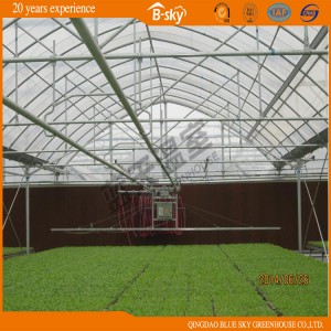 Long Life Span Multi-Span Film Greenhouse with Sprinkling Irrigation