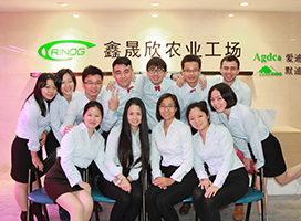 Multi-Span High-End Glass Greenhouse